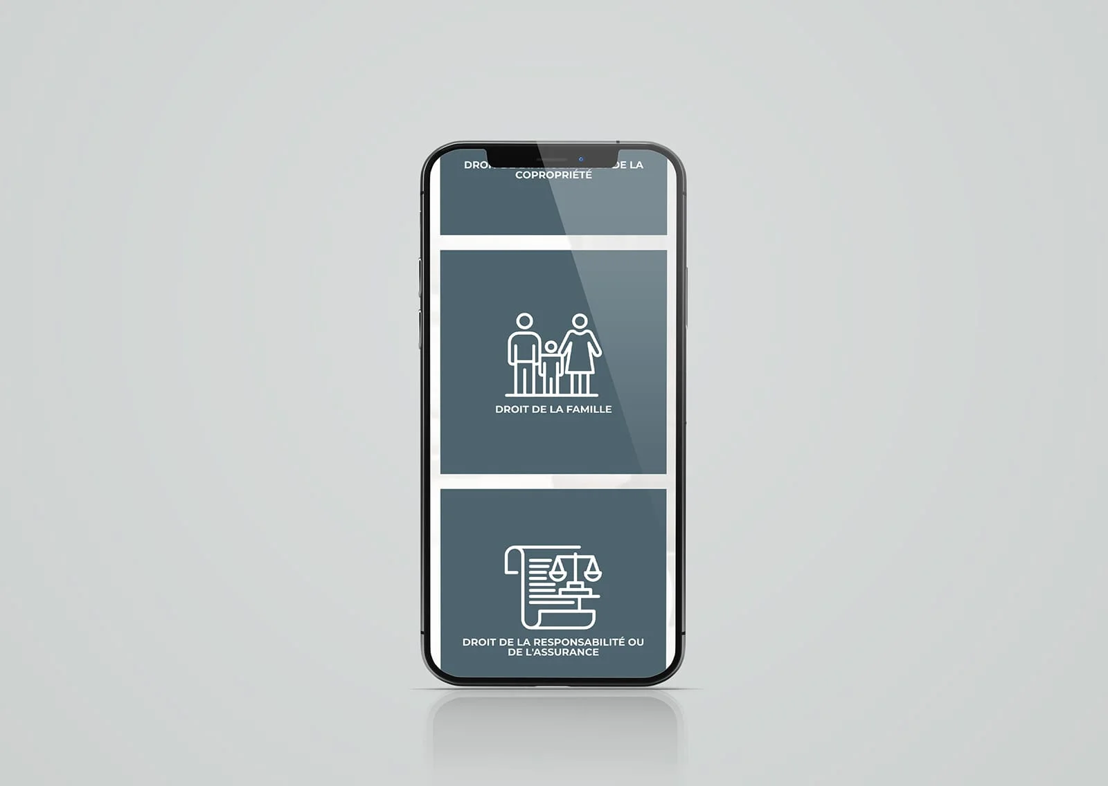 Site Francois Welsch Avocat – Section services mobile – Webdesigner WordPress Mulhouse