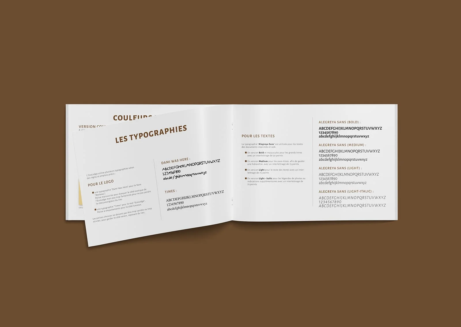 Declinaisons charte graphique