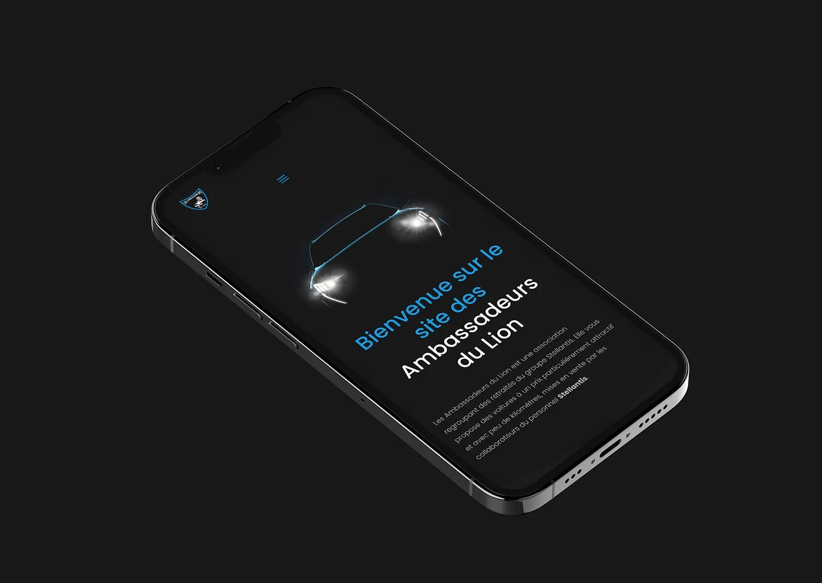 Graphiste Mulhouse 9 Les ambassadeurs du lion – Site Dynamique