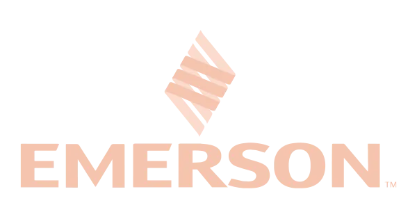 emerson-process Graphiste Mulhouse